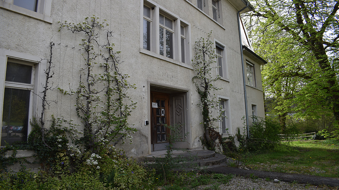 Sigg Abbildung 5